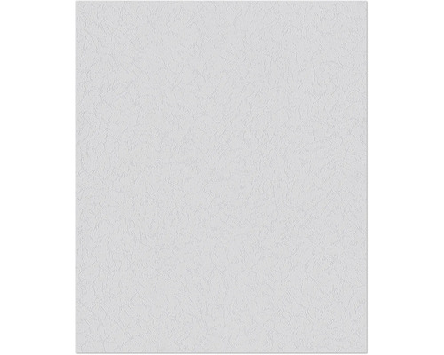 ERFURT Structuurvlies Basic 406 natuur 10,05x0,53 m Close-up van een witte muur met pleisterwerk