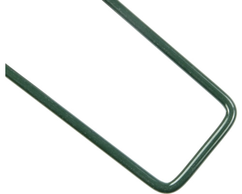 Gedetailleerd beeld van een groene plantensteunhoek