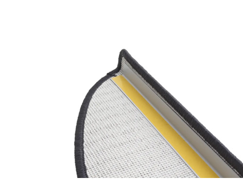 Detailopname van een insectenhor met plakstrip