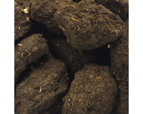 Close-up van potgrond