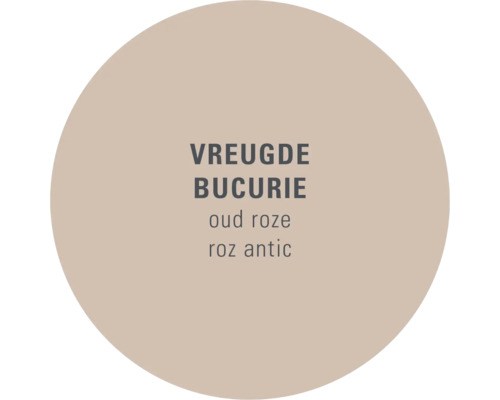 Kleurveld met de tekst ''Vreugde Bucurie oud roze roz antic''