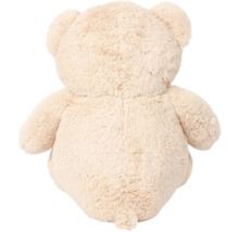 Achteraanzicht van een teddybeer