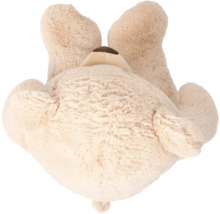 Knuffel teddybeer van achteren