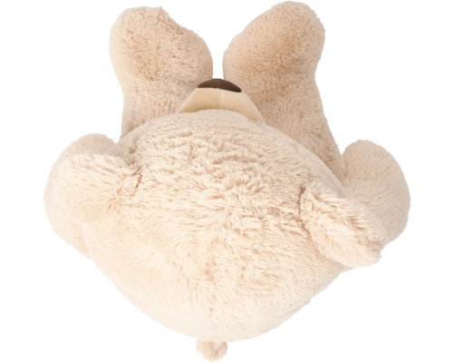 Knuffel teddybeer van achteren