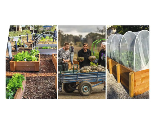 Tuinscene met verhoogde plantenbakken en groenteteelt