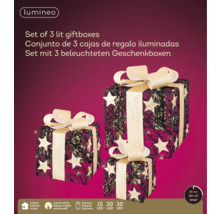 Set van drie verlichte geschenkdozen met sterren en strikken, werkt op batterijen