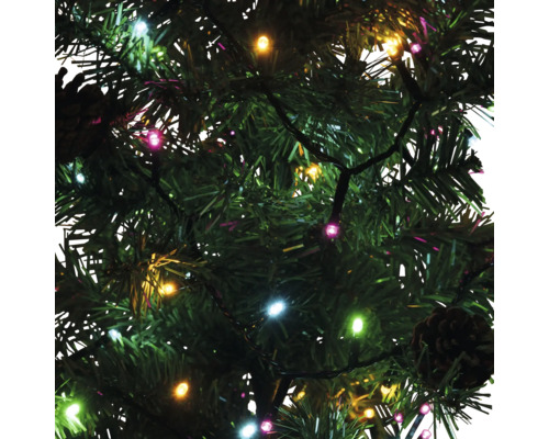 Kerstboom met lichtsnoer en gekleurde lampjes