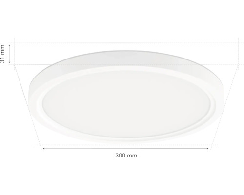 Plafondlamp, 300 millimeter diameter