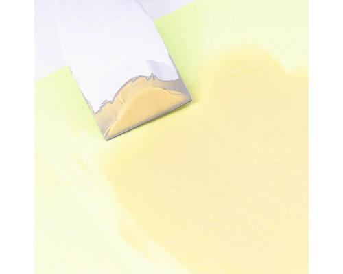 Plamuurmes voor het aanbrengen van verf