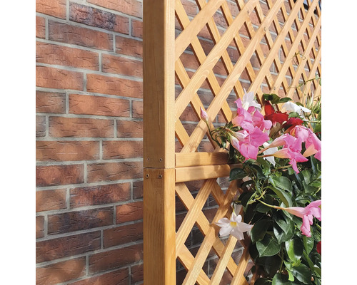 Houten trellis met bloeiende planten voor een bakstenen muur