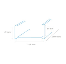 Technische tekening van een metalen profiel met de afmetingen 49 mm, 51 mm, 123,8 mm en 3000 mm