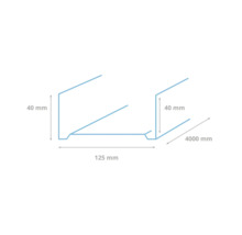 Technische tekening van een dakgoot met de afmetingen 40 millimeter, 125 millimeter en 4000 millimeter.