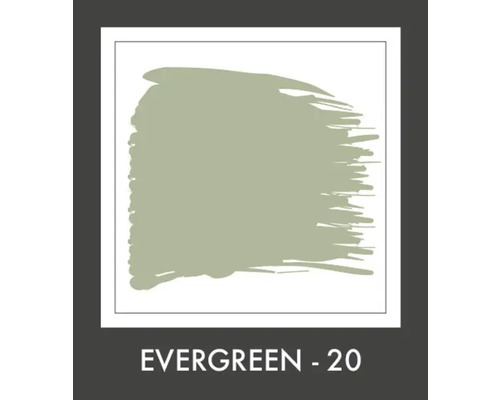 Verfkleurstaal Evergreen 20 voor kleurselectie