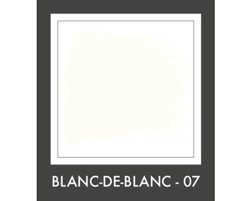 Verfstaal Blanc-de-Blanc 07