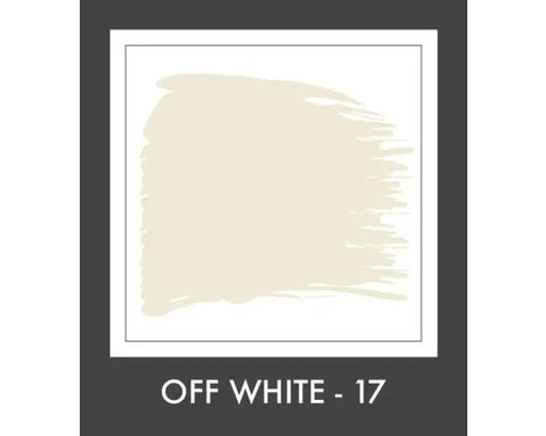 Verfkleurvlak Off White 17