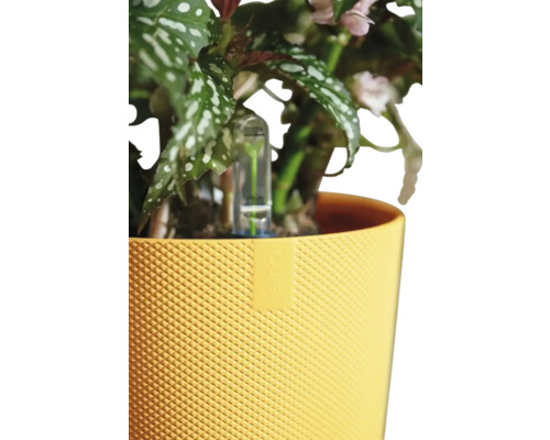 Bloempot met plant en waterniveau-indicator