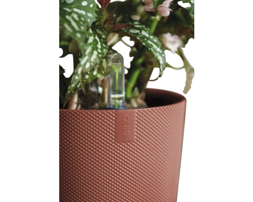 Bloempot met plant en waterniveau-indicator