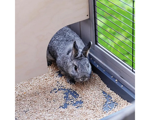 Grijs konijn in konijnenhok met strooisel