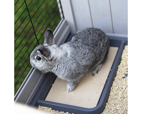 Een grijs konijn in een kattenbak met kattenbakvulling