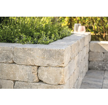 Muur van betonstenen beplant met planten