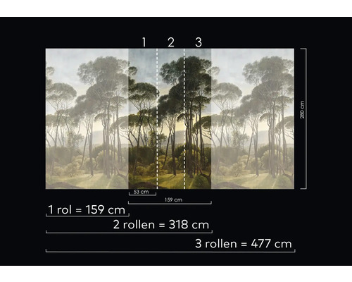 Afmetingen van de bosfotobehang met bomen