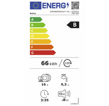 Amica DIM68B9EBODZIT XXL: klasse B, 66 kilowattuur per 100 cycli, 16 couverts, 9,3 liter water, 3 uur 35 minuten, 42 decibel.