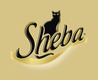 Sheba