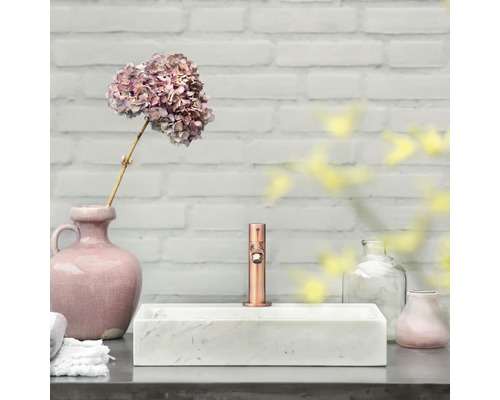 Scene met een waskom van marmer, een kraan, bloemen en decoratieve artikelen op een plank voor een muur.