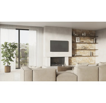 Woonkamer met bank, televisie en open haard