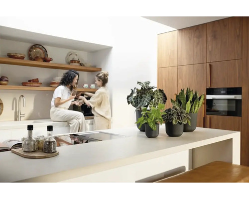 Lichte keuken met houten elementen en kamerplanten in potten op een aanrecht