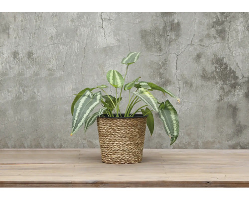 Kunstplant in gevlochten pot voor decoratie