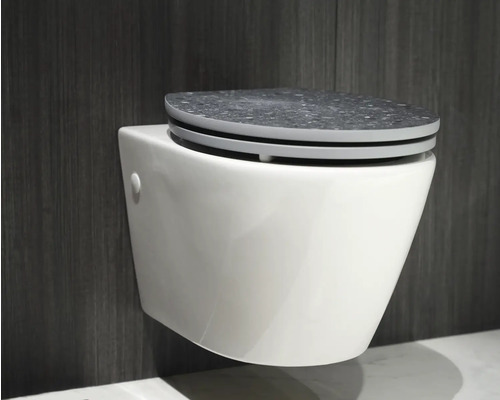 Wandhangend toilet met grijze bril