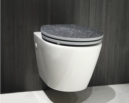 Wandcloset met toiletbril