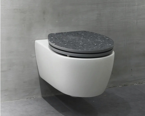 Wandcloset met toiletzitting