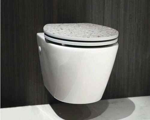 Wandcloset met toiletzitting