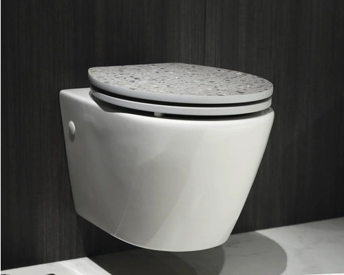 Wandcloset met toiletzitting