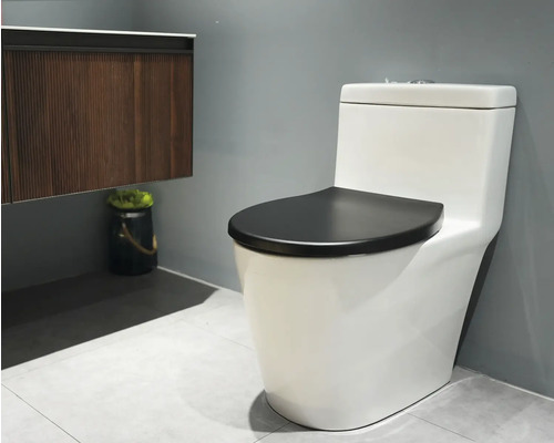 Keramisch toilet met spoelreservoir en toiletbril