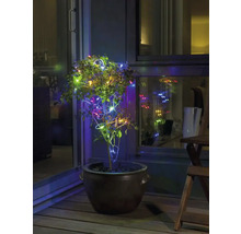 Plant in pot met lichtjes op een balkon