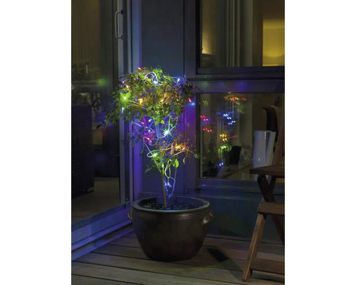 Plant in pot met lichtjes op een balkon