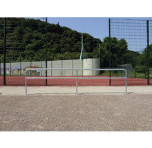 Buitenaanzicht van een sportveld met metalen hek en ballenvanger.