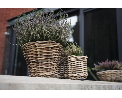 Twee gevlochten plantenmanden met heide op een vensterbank.