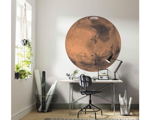 Decoratieve werkkamer met een wanddecoratie van de planeet Mars boven een bureau.