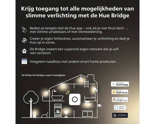 Philips Hue Bridge voor slimme verlichting in huis