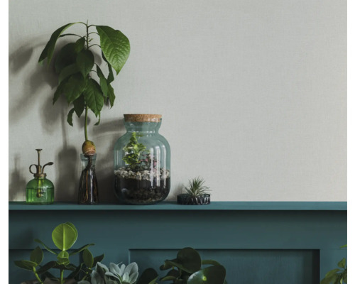 Decoratieve scène met planten in glazen potten en een spuitfles op een plank