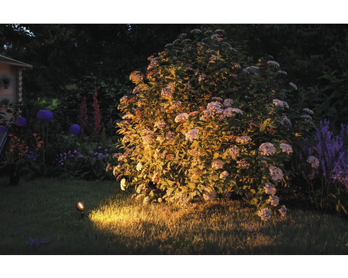 Verlichte tuin met struik, gazon en tuinlamp