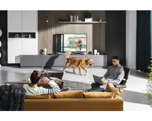 Woonkamer met bank, fauteuil, tv-meubel en televisie. Er bevinden zich twee personen en een hond in de kamer.