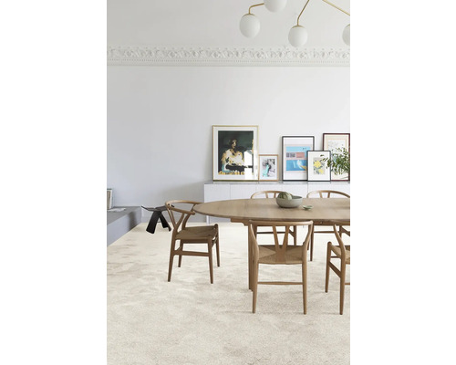 Lichte eetkamer met vloerkleed, houten tafel en stoelen