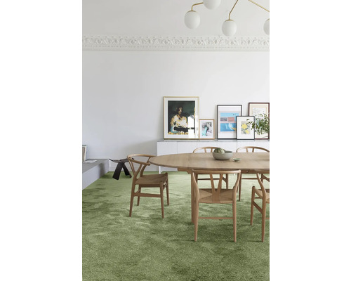 Lichte woonkamer met eettafel, stoelen en groen tapijt