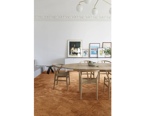 Eetkamer met vloerkleed, eettafel en stoelen in een lichte ruimte