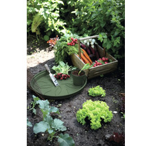 Groentemand met radijs, wortelen en bieten naast een plantenschaal met tuingereedschap